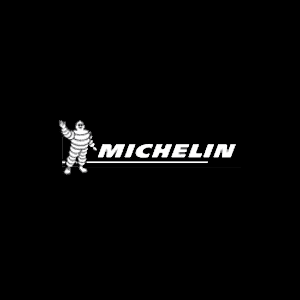 Michelin Logo