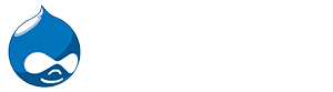 Drupal Logo - Web Development